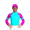 Turffontein Form Guide & Fields .